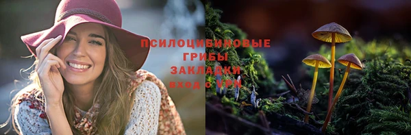 спиды Аркадак