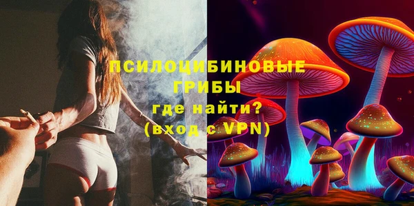 мдпв Балабаново