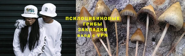 спиды Аркадак