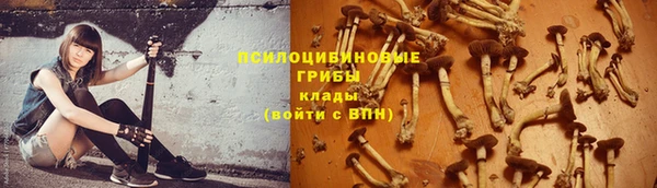 спиды Аркадак