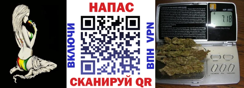 Канабис планчик  купить наркотик  маркетплейс какой сайт  Гаджиево 